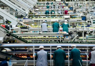 食品製造業移工人數超越機械產業居第3。圖：Unsplash