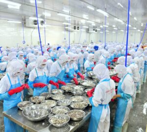 即日起 食藥署啟動冷凍冷藏蝦製造稽查專案