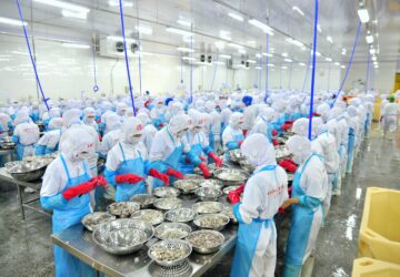 即日起 食藥署啟動冷凍冷藏蝦製造稽查專案